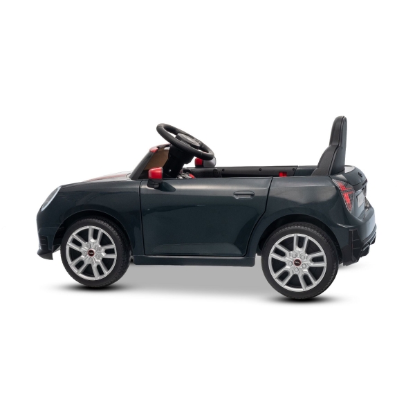 NEW_MINI_BLACK_Li VII.JPG