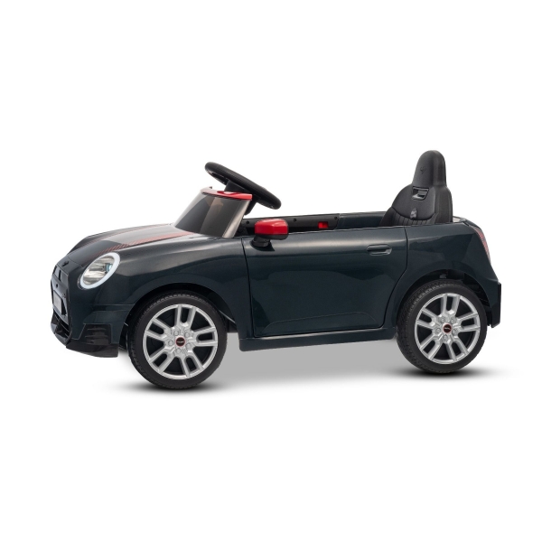 NEW_MINI_BLACK_Li V.jpg