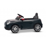 NEW_MINI_BLACK_Li V.jpg