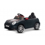 NEW_MINI_BLACK_Li III.jpg