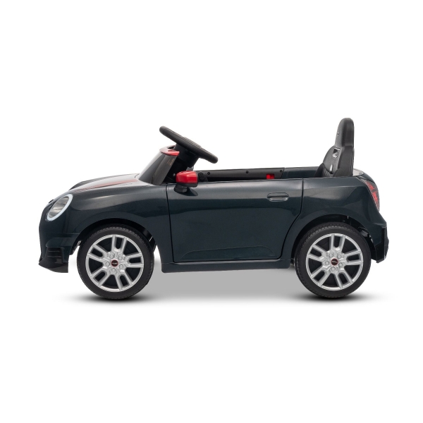 NEW_MINI_BLACK_Li VI.jpg