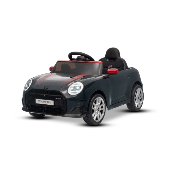 NEW_MINI_BLACK_Li II.jpg