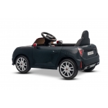 NEW_MINI_BLACK_Li VIII.JPG