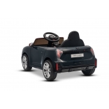 NEW_MINI_BLACK_Li X.JPG