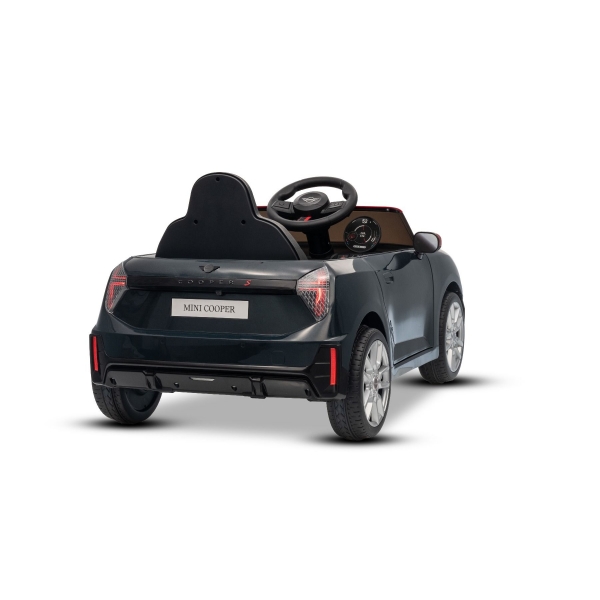 NEW_MINI_BLACK_Li XIII.JPG