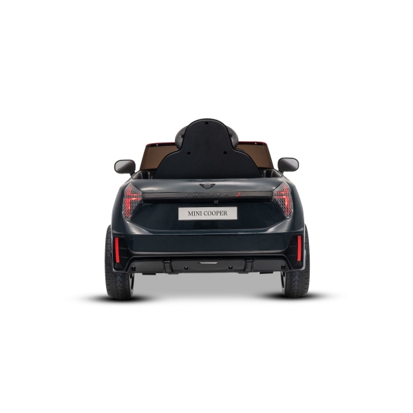 NEW_MINI_BLACK_Li XII.JPG