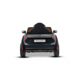 NEW_MINI_BLACK_Li XII.JPG