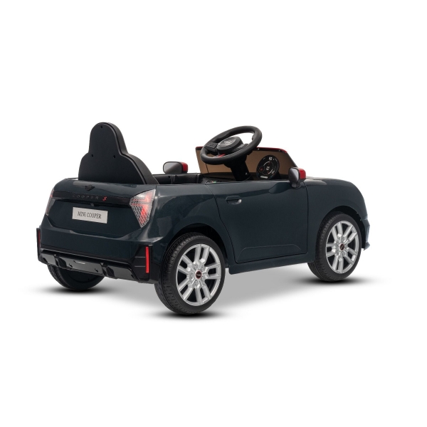 NEW_MINI_BLACK_Li XV.JPG