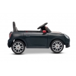 NEW_MINI_BLACK_Li XVIII.JPG