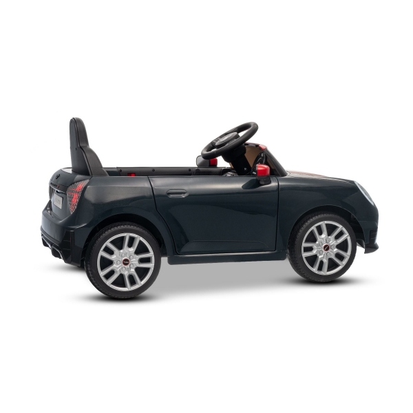 NEW_MINI_BLACK_Li XVII.JPG