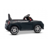 NEW_MINI_BLACK_Li XVII.JPG