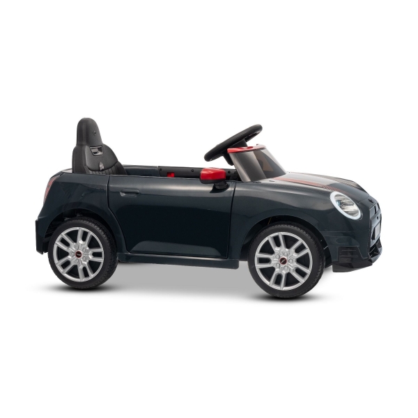 NEW_MINI_BLACK_Li XIX.JPG