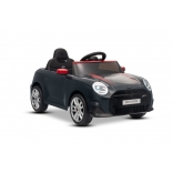 NEW_MINI_BLACK_Li XXII.JPG