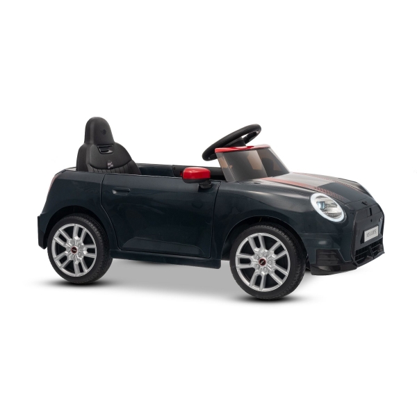 NEW_MINI_BLACK_Li XX.JPG