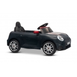 NEW_MINI_BLACK_Li XX.JPG