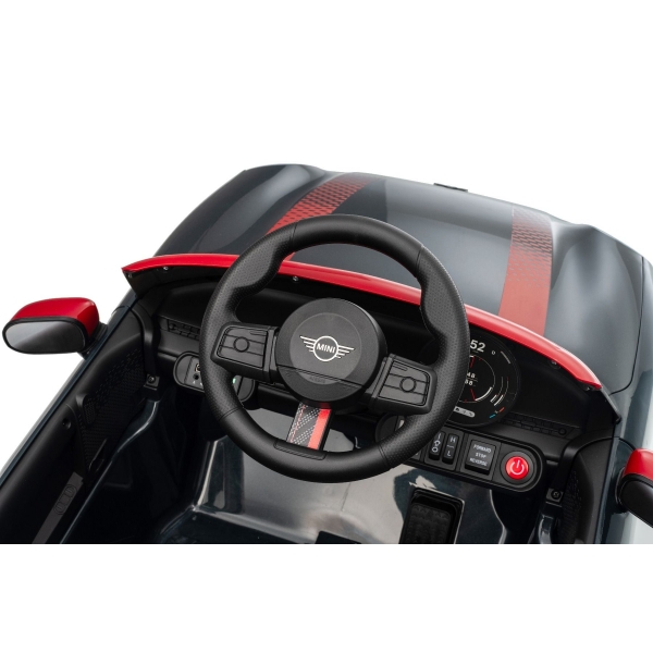 NEW_MINI_BLACK_Li XXV.JPG