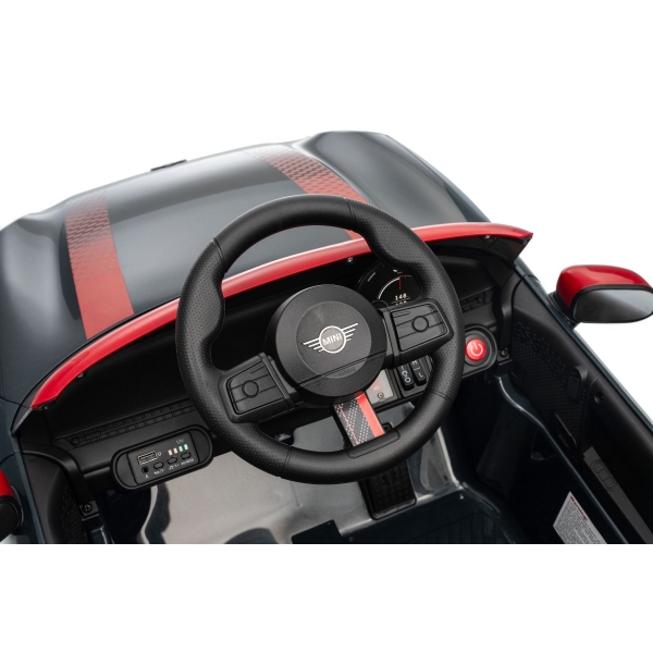 NEW_MINI_BLACK_Li XXIV.JPG