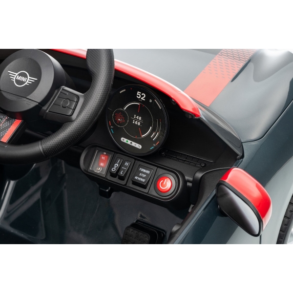 NEW_MINI_BLACK_Li XXVIII.JPG