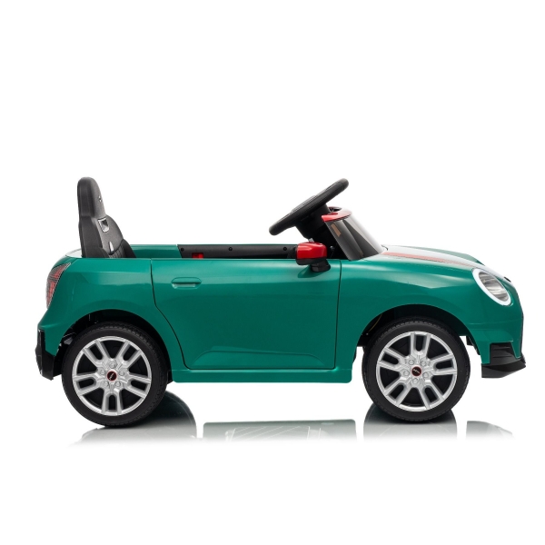 NEW_MINI_GREEN_Li XII.JPG