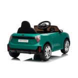 NEW_MINI_GREEN_Li XI.JPG