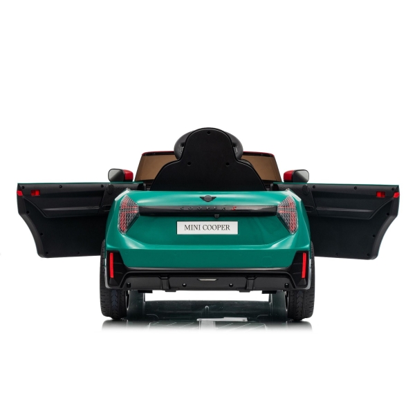 NEW_MINI_GREEN_Li XIX.JPG