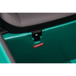 NEW_MINI_GREEN_Li XXIX.JPG