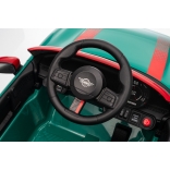 NEW_MINI_GREEN_Li XXIII.JPG