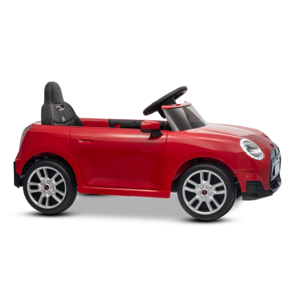 NEW_MINI_RED_Li XIX.JPG