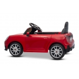 NEW_MINI_RED_Li VII.JPG