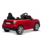 NEW_MINI_RED_Li XV.JPG