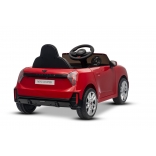 NEW_MINI_RED_Li XIV.JPG