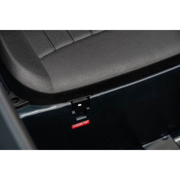 NEW_MINI_RED_Li XXVIII.JPG