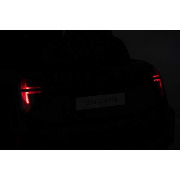 NEW_MINI_RED_Li XXX.JPG