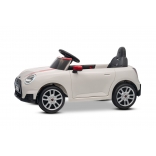 NEW_MINI_WHITE_Li V.JPG