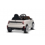 NEW_MINI_WHITE_Li XIII.JPG