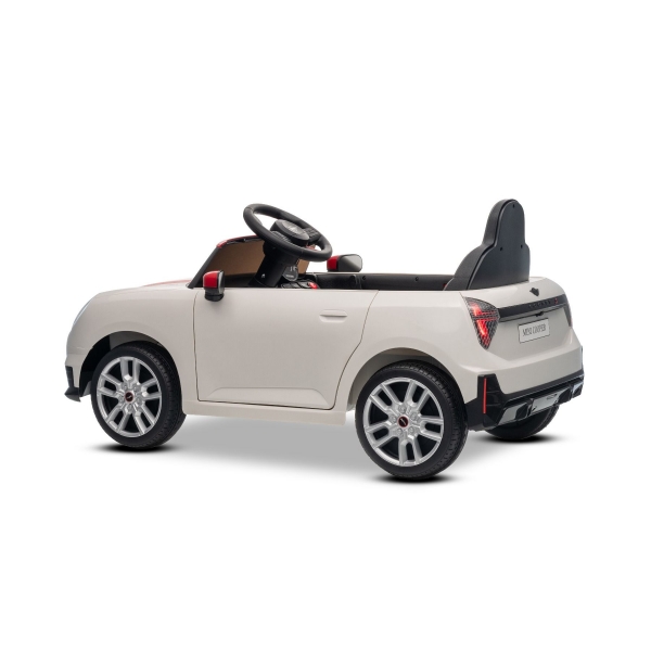 NEW_MINI_WHITE_Li VIII.JPG