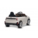 NEW_MINI_WHITE_Li XIV.JPG