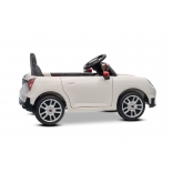 NEW_MINI_WHITE_Li XVII.JPG