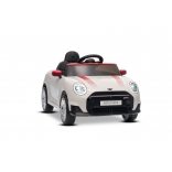 NEW_MINI_WHITE_Li XXIII.JPG