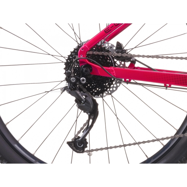 e-Guera 7.11-(513 Wh).jpg