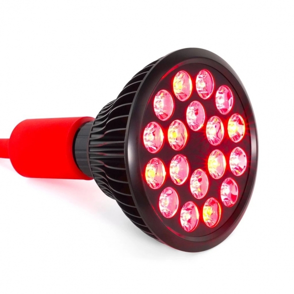 Mitolight Bulb 5.0 I.jpg