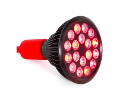 Mitolight Bulb 5.0 I.jpg