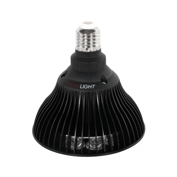 Mitolight Bulb 5.0 IV.JPG