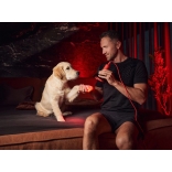 Mitolight Bulb 5.0 VIII.JPG