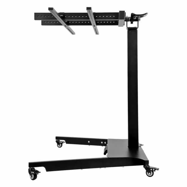 Mitolight Electric Stand Max VI.JPG