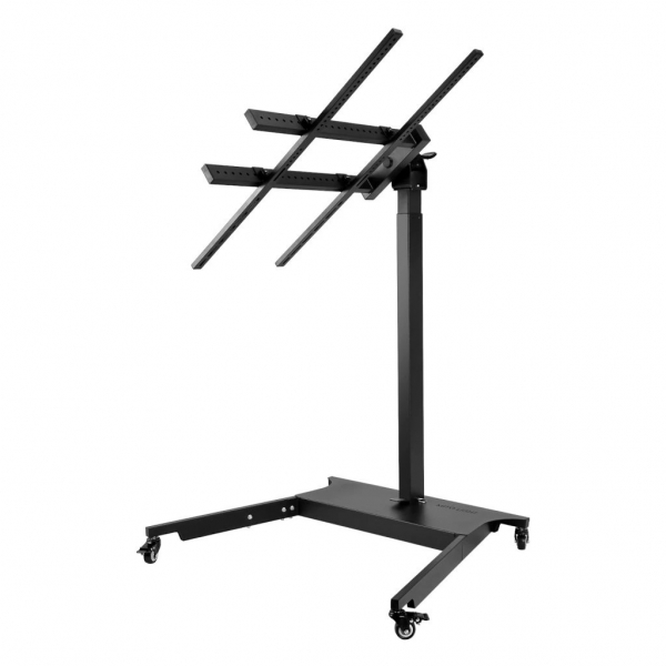 Mitolight Lift Stand Max I.JPG