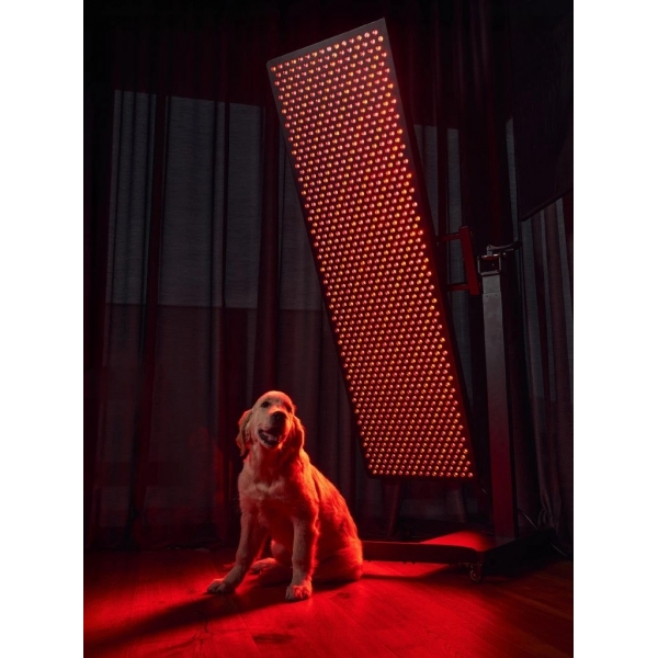 Mitolight Lift Stand Max XI.JPG