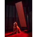 Mitolight Lift Stand Max XI.JPG