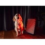 Mitolight Starter 5.0 XII.JPG