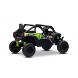 KAWASAKI_KRX_1000_BLACK_Li 15.jpg